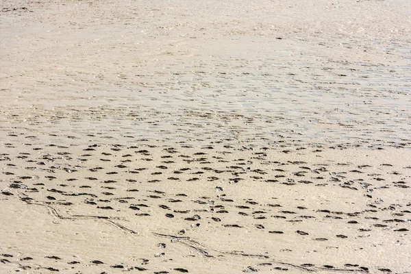 Menschliche Fußabdrücke im Sand — Stockfoto