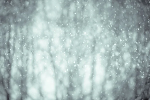 Fondo borroso de invierno con copos de nieve —  Fotos de Stock