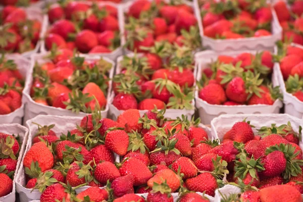 Natural strawberries in boxes — Stock Photo, Image