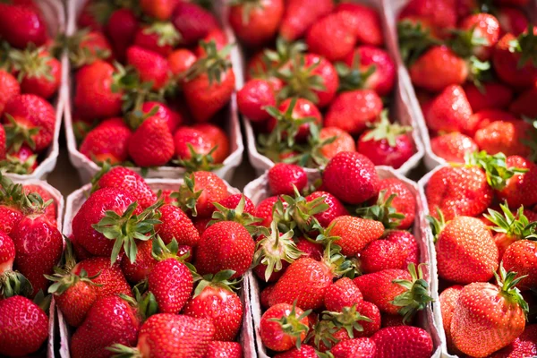 Natural strawberries in boxes — Stock Photo, Image
