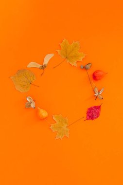 Kalın turuncu arka planda kuru yapraklı çelenk çerçeveli sonbahar düzlüğü. Yaratıcı sonbahar, şükran günü, sonbahar, cadılar bayramı konsepti. Üst görünüm, alanı kopyala