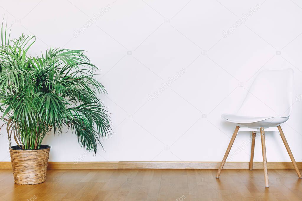 Indoors flat wall mockup with green potted houseplant and chair in minimalist style. Interior in airy light scandinavian style with wooden floor