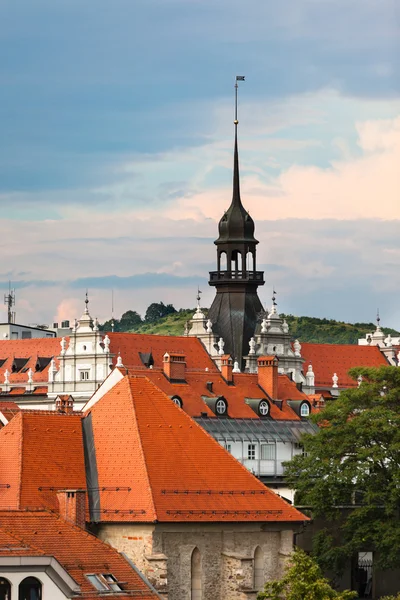 Maribor, Eslovenia, paisaje del tejado —  Fotos de Stock