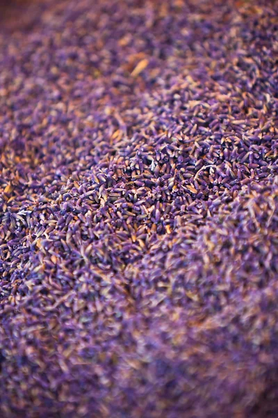 Tumpukan lavender kering — Stok Foto