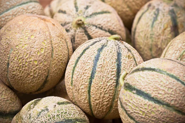Ripe fresh melons pile in a market — Stock Photo, Image