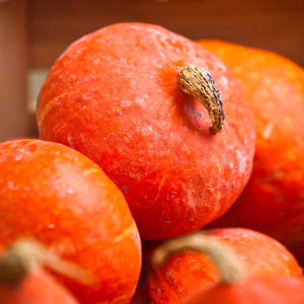 Bir pazarda turuncu kabak — Stok fotoğraf