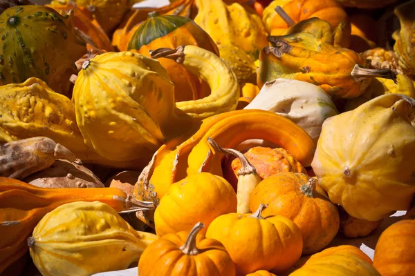 Citrouilles orange et jaune dans un marché — Photo