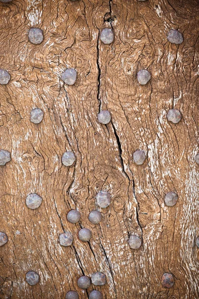 Wooden surface with old metal rivets background — Stock Photo, Image