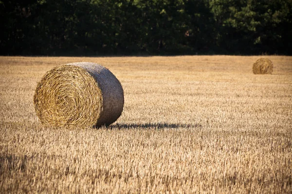 Halm balar på ett skördade spannmål fält — Stockfoto