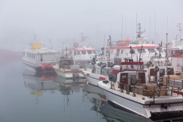 Navi da pesca in una nebbiosa mattina nebbiosa a Hofn, Islanda — Foto Stock