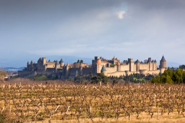 View of Carcassonne castle in Languedoc-Rosellon (France) clipart