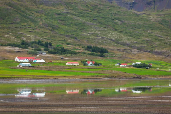 Typiska bondgårdar på isländska fjorden seglar utmed kusten — Stockfoto