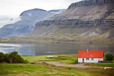 İzlandaca fiyort sahil evinde tipik çiftlik