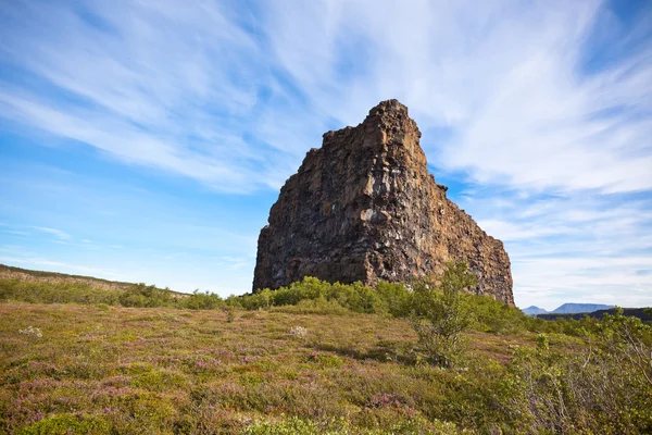 Canyon Asbyrgi, Islanda — Foto Stock