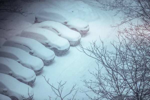 Coches cubiertos de nieve en un estacionamiento en la zona residencial de Fotos De Stock Sin Royalties Gratis