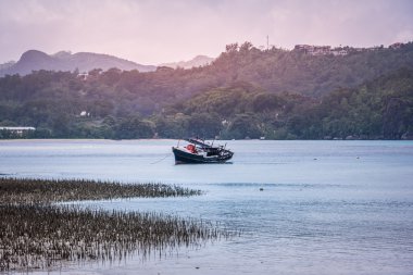 Bir sahil ot tropikal Adası yakınlarında eski balıkçı teknesi