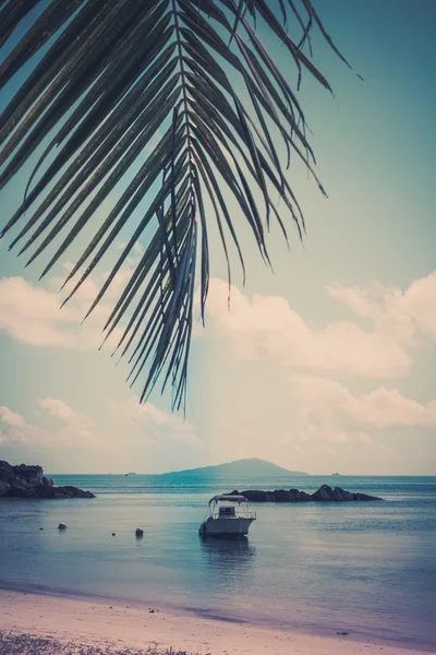 Човен на тропічний пляж на острові курйоз Сейшельська — стокове фото