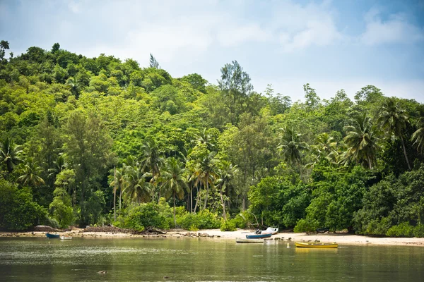 Barche su una spiaggia tropicale — Foto Stock