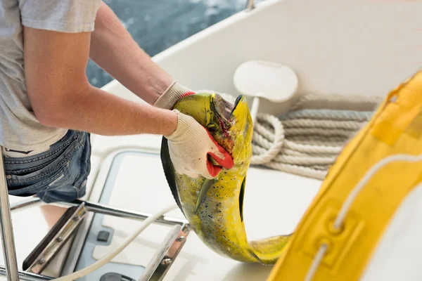 Männer halten frischen Fisch in der Hand — Stockfoto