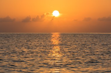 tropikal günbatımı okyanus güzel arka plan