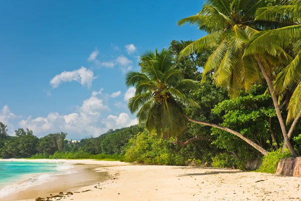 Tropisk strand på Mahe island Seychelles — Stockfoto