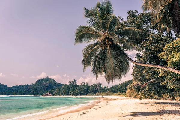 Spiaggia tropicale sull'isola di Mahe Seychelles — Foto Stock