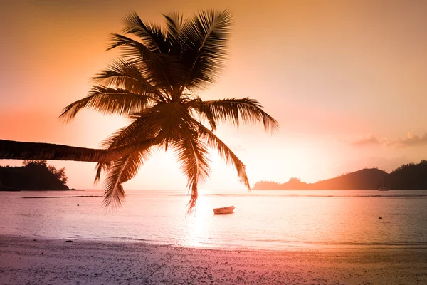 Playa tropical en la isla de Mahe Seychelles — Foto de Stock