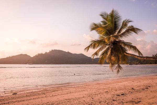 Plage tropicale à Mahe île de Seychelles — Photo