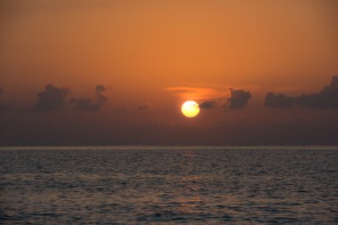 tropikal günbatımı okyanus güzel arka plan