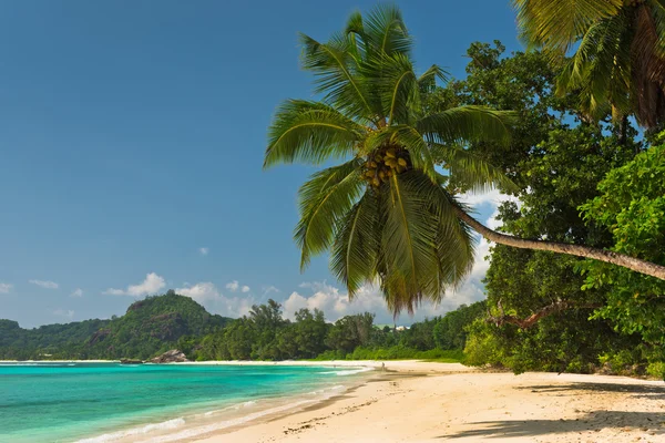 Playa tropical en la isla de Mahe Seychelles — Foto de Stock