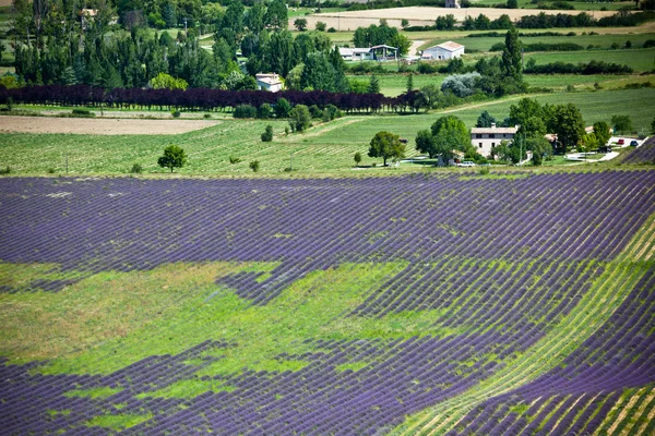 Provenza rural, Francia — Foto de Stock