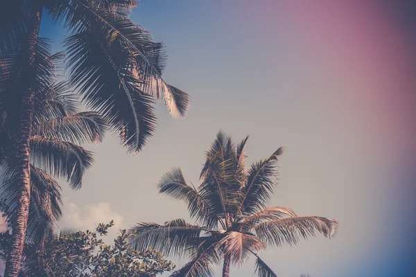 Tropischer Strand auf der Insel — Stockfoto