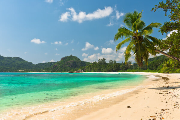 Tropical beach at island