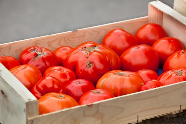 Venta de tomates en un mercado de agricultores — Foto de Stock