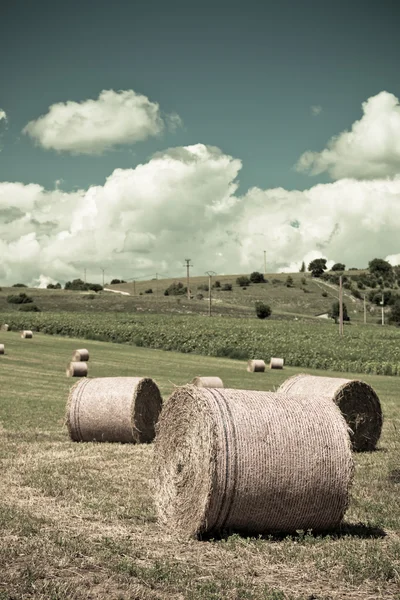 Paesaggio rurale, Francia — Foto Stock