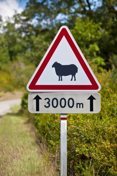 Verkeersbord waarschuwing — Stockfoto