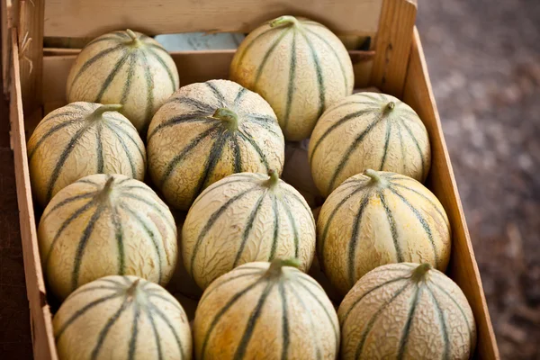 Boîte de melons frais mûrs — Photo