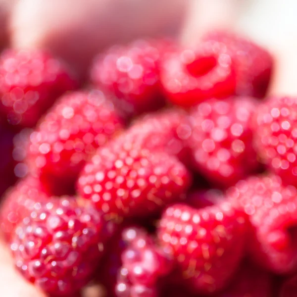 Red raspberries. Blurred shot — Stock Photo, Image