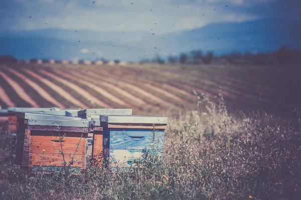 A Provence-ban mező kaptár — Stock Fotó