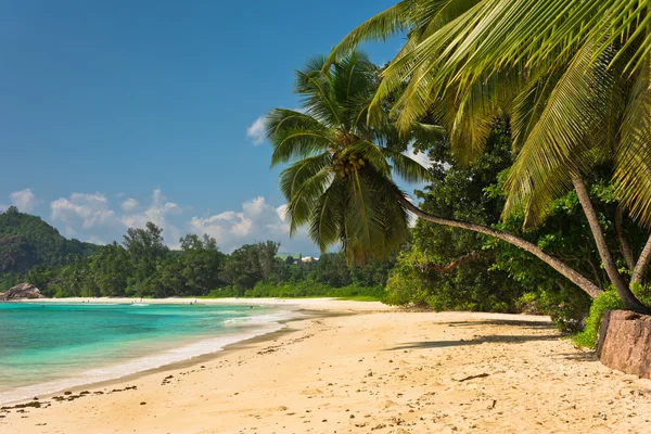 Tropisk strand på Mahe — Stockfoto