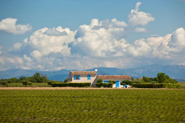 Casa rural en un campo de lavanda — Foto de Stock