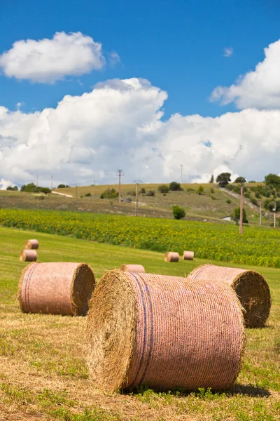 Paesaggio rurale, Francia — Foto Stock