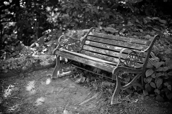 Staré lavice v lese — Stock fotografie