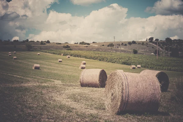 Paysage rural, France — Photo