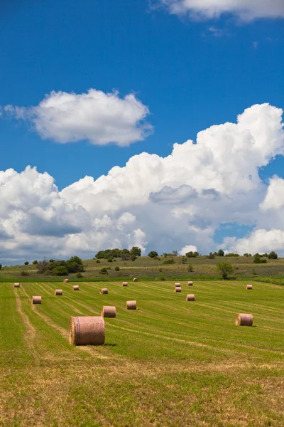 Paesaggio rurale, Francia — Foto Stock