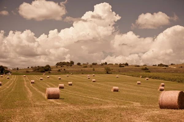 Kırsal manzara, Fransa — Stok fotoğraf