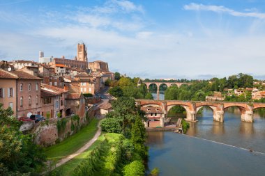 View of Albi, France clipart
