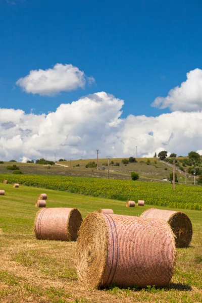 Paysage rural, France — Photo