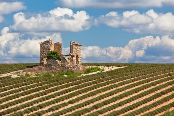 Casa in pietra rovina — Foto Stock