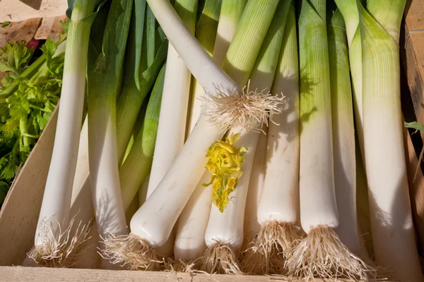 Fresh leeks in a rural farmers market — Stock Photo, Image